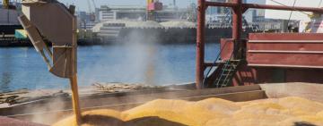 Дев’ять кораблів очікують черги на завантаження українським зерном в портах Одещини